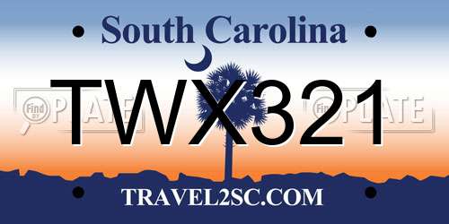 TWX321 South Carolina License Plate