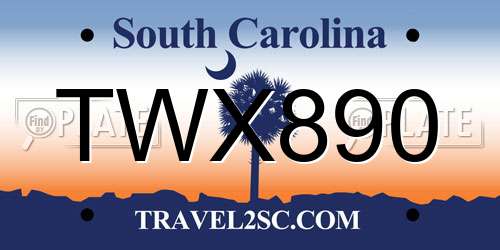 TWX890 South Carolina License Plate