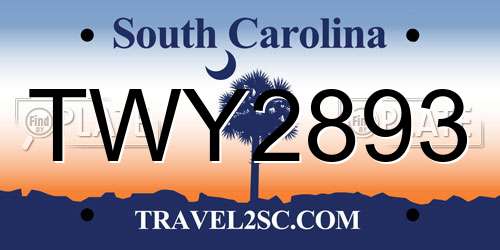 TWY2893 South Carolina License Plate