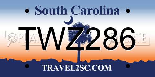 TWZ286 South Carolina License Plate