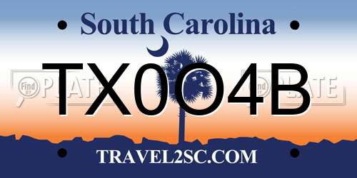 TX0O4B South Carolina License Plate