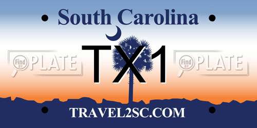TX1 South Carolina License Plate