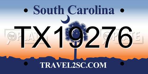 TX19276 South Carolina License Plate