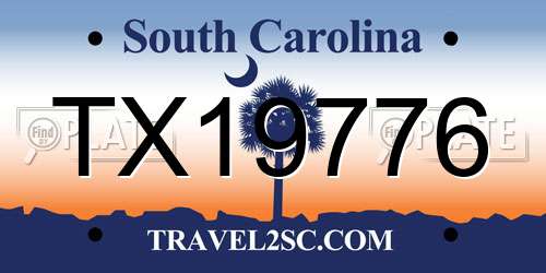 TX19776 South Carolina License Plate