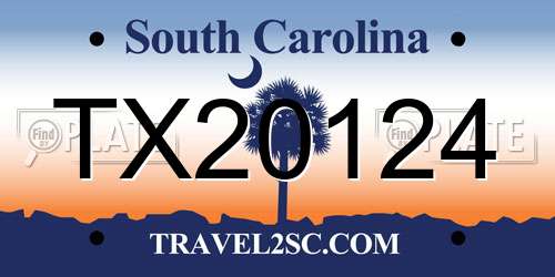 TX20124 South Carolina License Plate