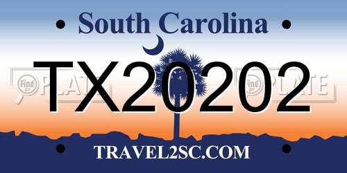 TX20202 South Carolina License Plate