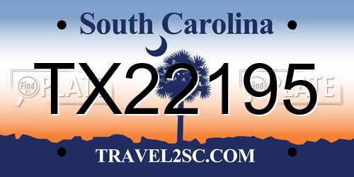 TX22195 South Carolina License Plate