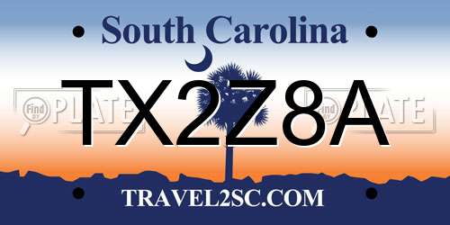 TX2Z8A South Carolina License Plate