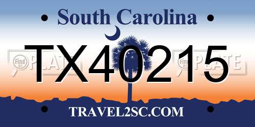 TX40215 South Carolina License Plate
