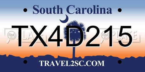 TX4D215 South Carolina License Plate
