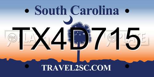 TX4D715 South Carolina License Plate