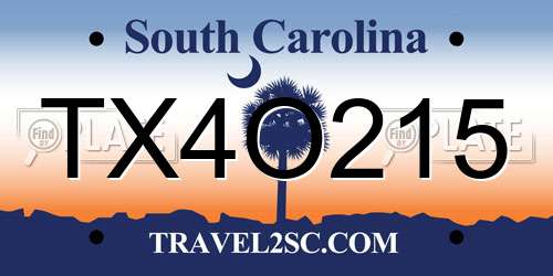 TX4O215 South Carolina License Plate
