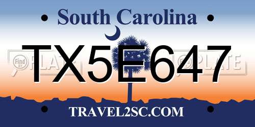 TX5E647 South Carolina License Plate