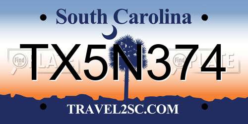 TX5N374 South Carolina License Plate