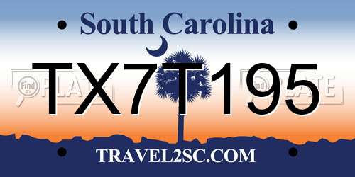 TX7T195 South Carolina License Plate