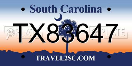 TX83647 South Carolina License Plate