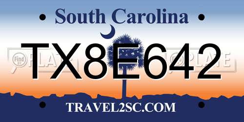 TX8E642 South Carolina License Plate