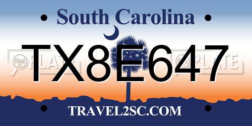 TX8E647 South Carolina License Plate