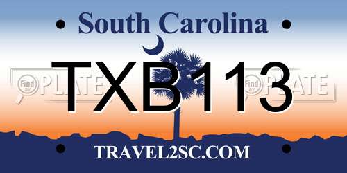 TXB113 South Carolina License Plate