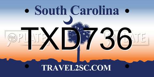 TXD736 South Carolina License Plate