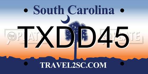TXDD45 South Carolina License Plate