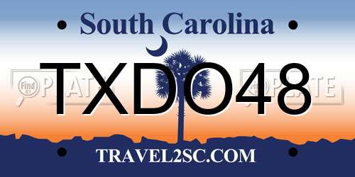 TXDO48 South Carolina License Plate