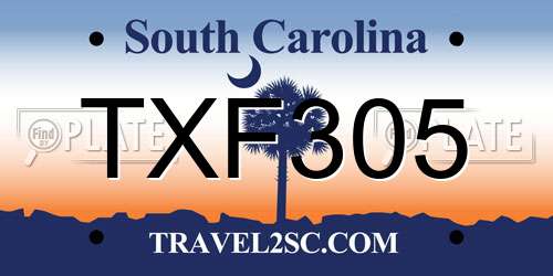 TXF305 South Carolina License Plate