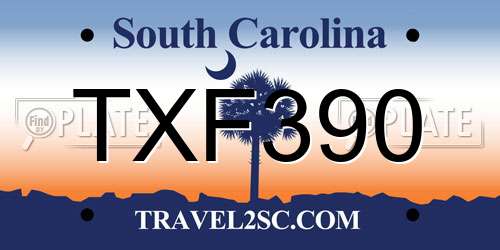 TXF390 South Carolina License Plate