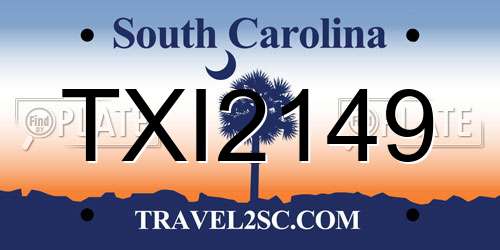 TXI2149 South Carolina License Plate