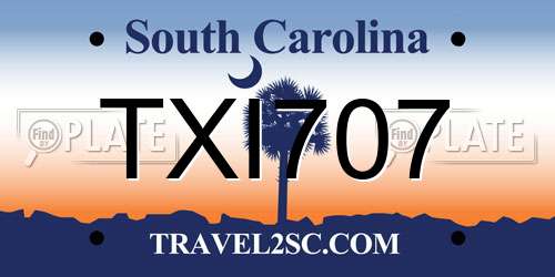 TXI707 South Carolina License Plate