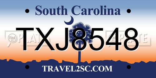 TXJ8548 South Carolina License Plate