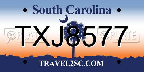 TXJ8577 South Carolina License Plate