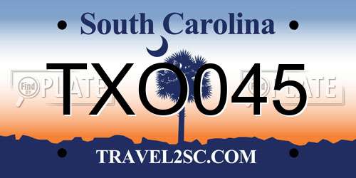 TXO045 South Carolina License Plate