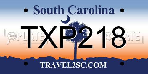 TXP218 South Carolina License Plate