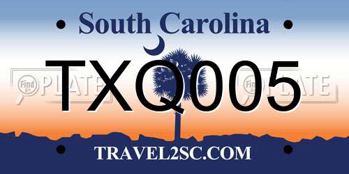 TXQ005 South Carolina License Plate