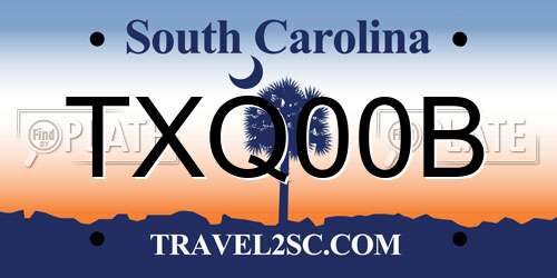 TXQ00B South Carolina License Plate