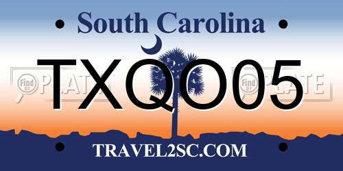 TXQO05 South Carolina License Plate