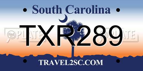 TXR289 South Carolina License Plate