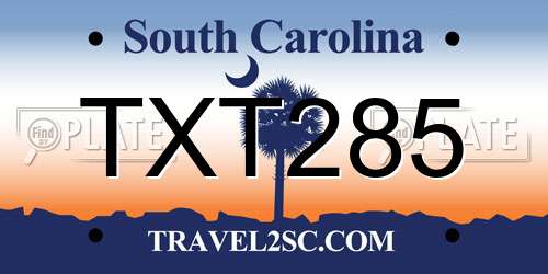 TXT285 South Carolina License Plate