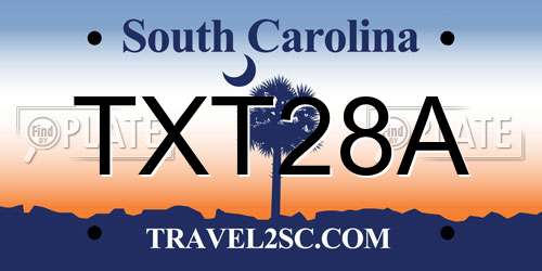 TXT28A South Carolina License Plate