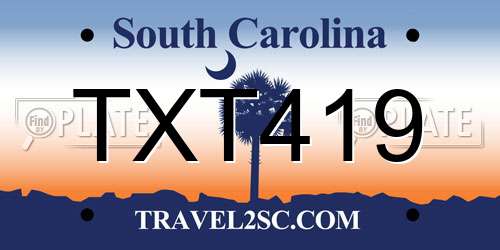 TXT419 South Carolina License Plate