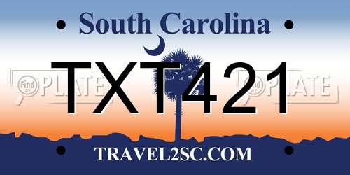TXT421 South Carolina License Plate