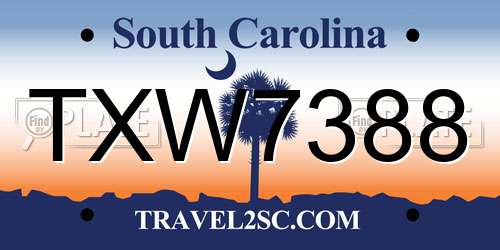 TXW7388 South Carolina License Plate