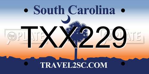 TXX229 South Carolina License Plate