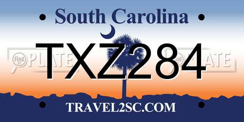 TXZ284 South Carolina License Plate