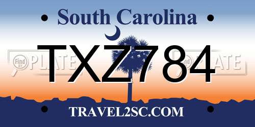 TXZ784 South Carolina License Plate