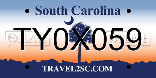 TY0X059 South Carolina License Plate