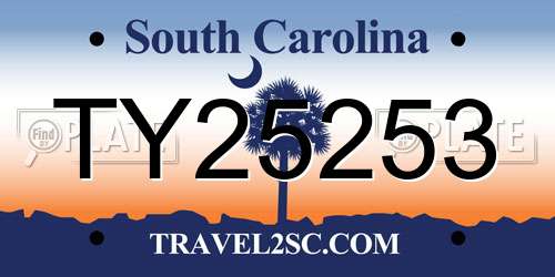 TY25253 South Carolina License Plate