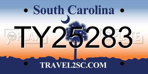 TY25283 South Carolina License Plate