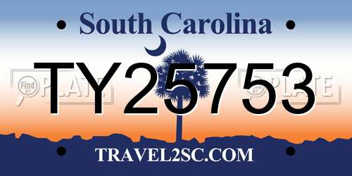 TY25753 South Carolina License Plate